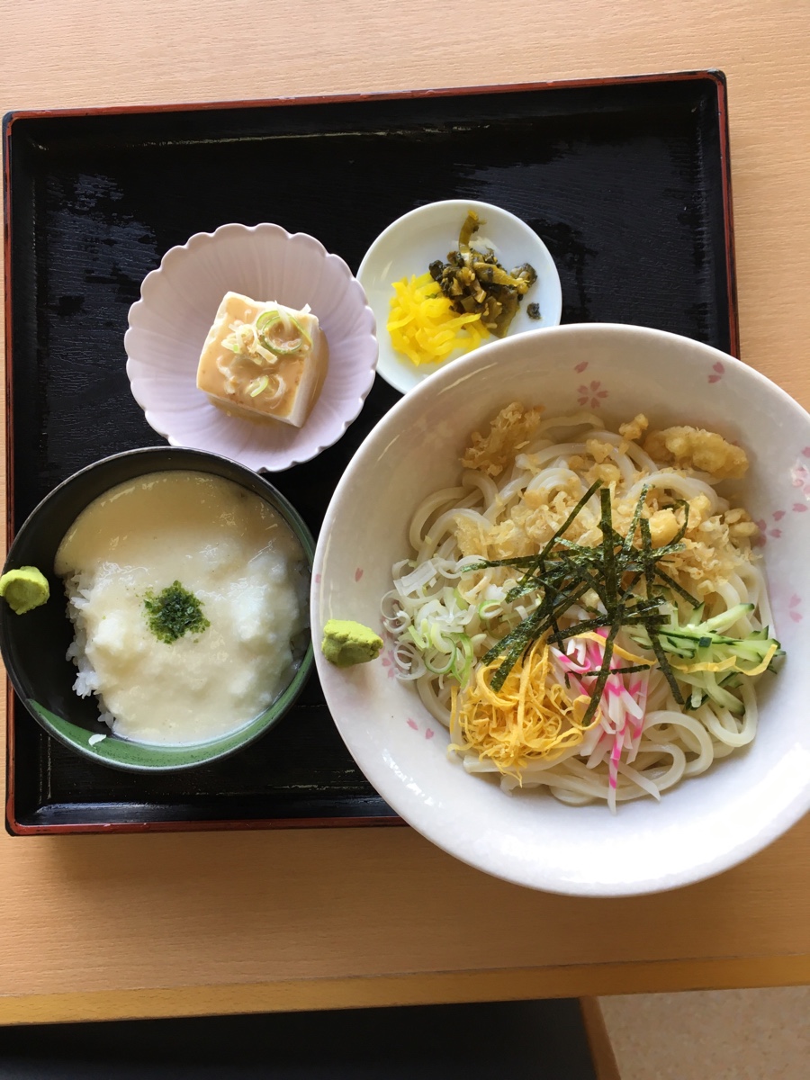 冷やしたぬきうどんまたは蕎麦ととろろごはんのセット 定食 友鶴食堂 伊勢崎市境町の大衆食堂